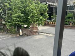 -西双版纳傣族园
