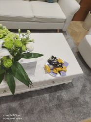 -HEYAN长风荷妍专业脱毛美肤
