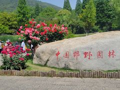 -习家池
