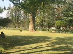-上海财经大学(国定路校区)