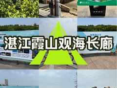 -霞山观海长廊