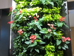 -Peet's Coffee皮爷咖啡(德基店)