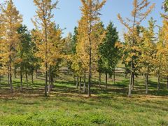 -汉长安城未央宫国家考古遗址公园