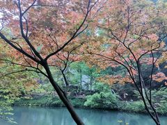 -岳麓山风景名胜区