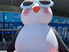 -重庆欢乐海底世界