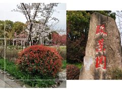 -颐景园