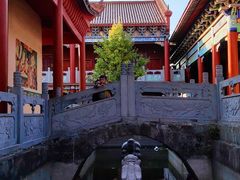 -长沙黑麋峰国家森林公园