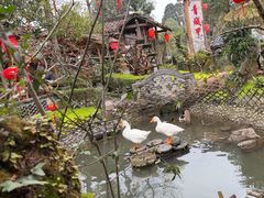 -青城甲(青城山店)