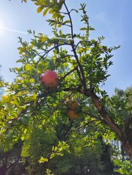 -今日陶艺(富力广场店)