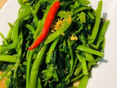 秘制虾酱炒空心菜-帕蓝·暹罗料理(曲阳店)