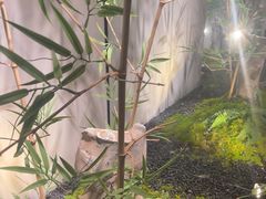 -绿茶餐厅(淮安吾悦广场店)