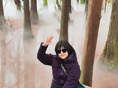 -东湖落雁景区