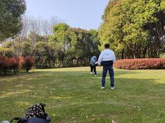-贡湖湾湿地公园