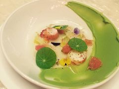 -广州四季酒店·佰鲜汇·现代法餐