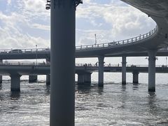 -演武大桥观景平台