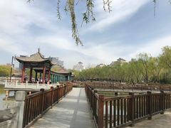 -莲花池公园