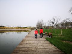 -天津东丽湖风景区
