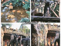 -长鹿旅游休博园