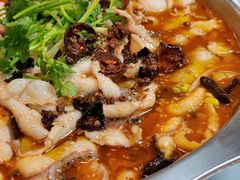 -何哥鲜鱼餐厅(龙湖花园店)