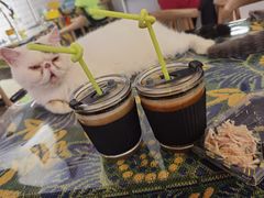 -平行世界·猫咖(首经贸店)