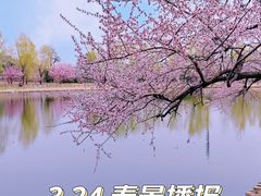 -国家植物园