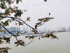 -武昌江滩