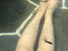 picture-南京汤山紫清湖生态旅游温泉度假区