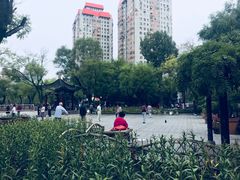 -文瀛公园