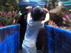 -暹罗海洋世界