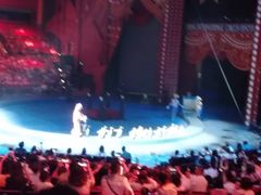 -珠海横琴长隆《卡卡虎奇遇记》