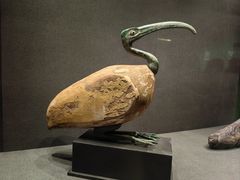 -遇见博物馆(遇见海洋沉浸式奇幻光影展)