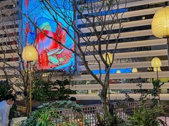 -桂满陇·海市蜃楼·黑金(国金店)