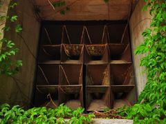 -大嶝英雄三岛战地观光园