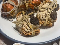 -杨氏青龙虾·羊蝎子(托乐嘉店)