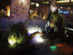 院子里喷雾的池子-辉哥火锅(虹桥路店)