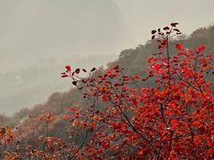 -周口店坡峰岭风景区