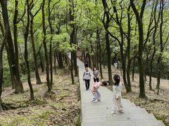 -火炉山森林公园