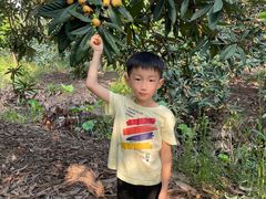 -塘栖枇杷特色园区