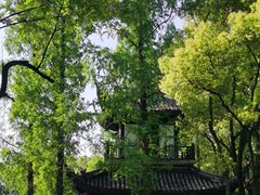 -汇龙潭