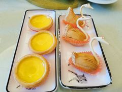 岭南酥蛋挞-黄埔华苑酒家(黄埔店)