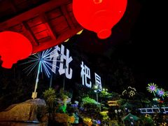 -枇杷园食为鲜火锅(南山店)
