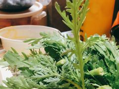 -黄记煌三汁焖锅(顺义华联店)
