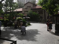 -静园(和平区)
