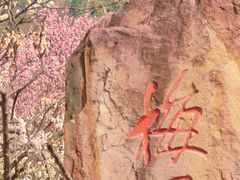 -无锡梅园公园
