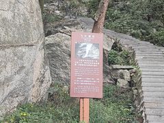 -王顺山国家森林公园