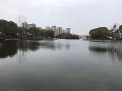 -新江湾城公园