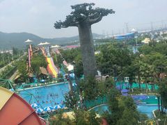 -苏州乐园森林水世界