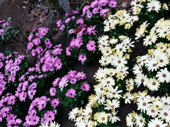 -南通洲际绿博园