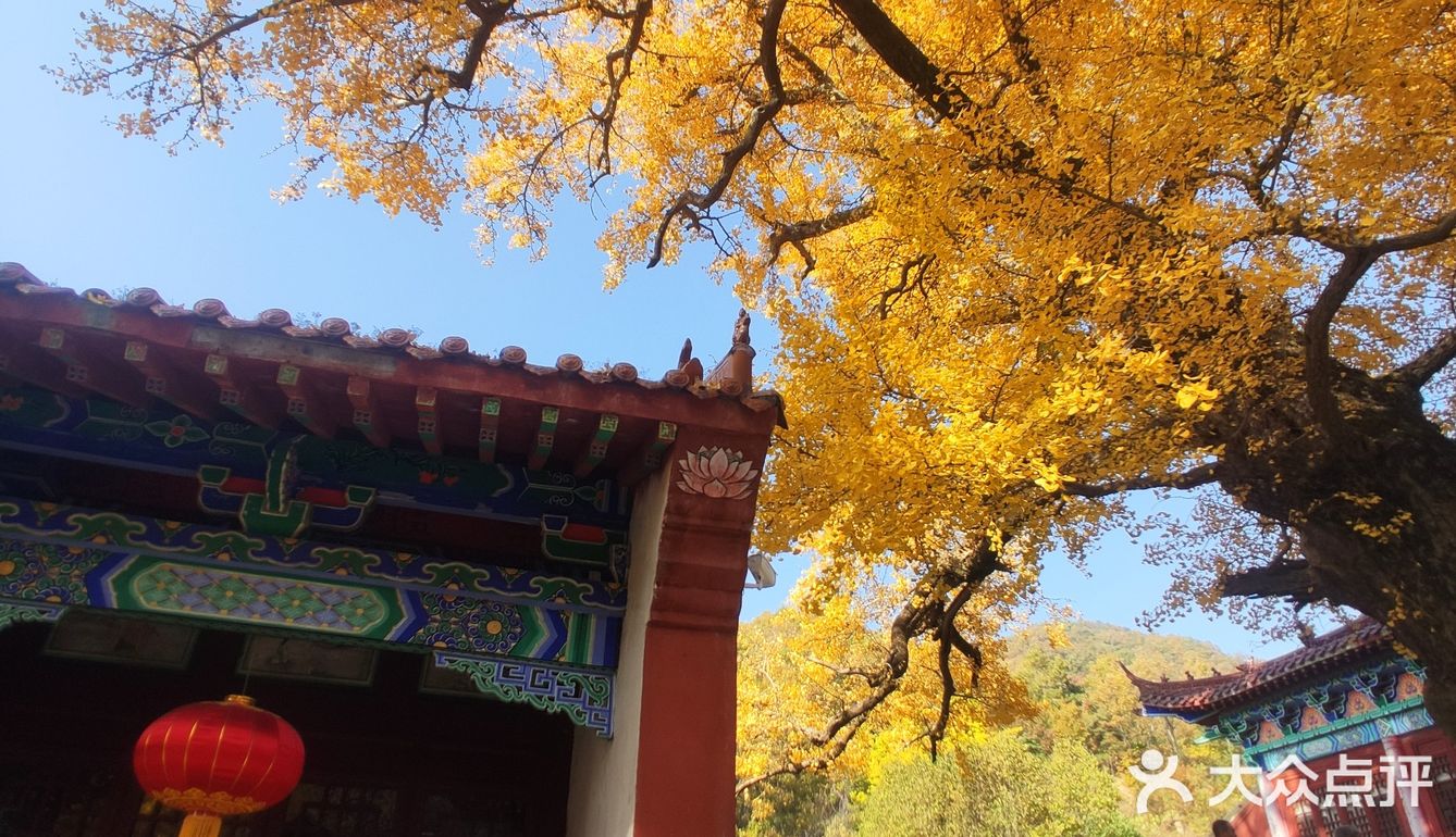 鲁山县四棵树乡文殊寺