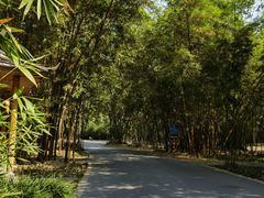 -中国科学院西双版纳热带植物园